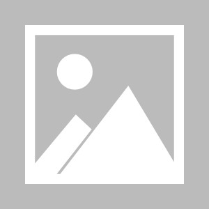 AI视频生成工具哪个好用？2026最全推荐与使用教程